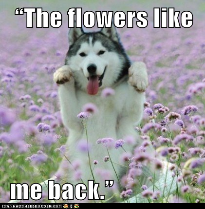 “The flowers like    me back.”