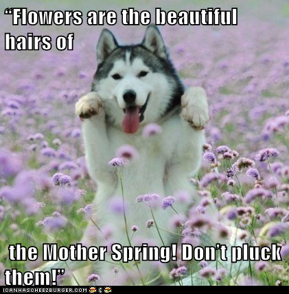 “Flowers are the beautiful hairs of   the Mother Spring! Don’t pluck them!”