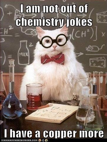 Animal Memes: Chemistry Cat - I'm Out of My Element Here