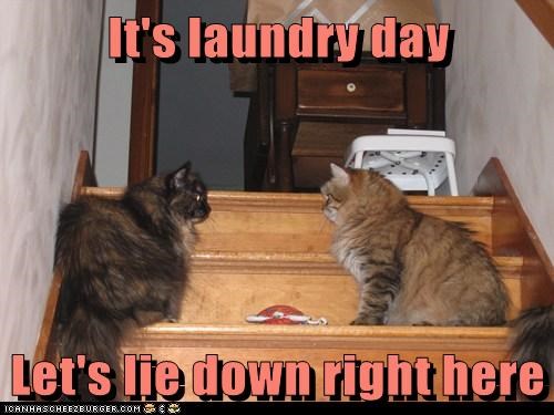 It's laundry day  