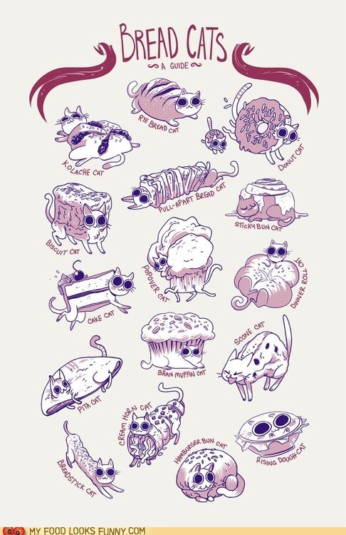 My Food Looks Funny: Bread Cats
