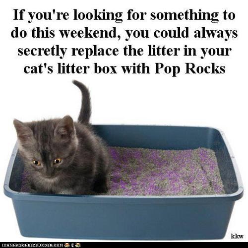 We Do Not Actually Recommend You Try This