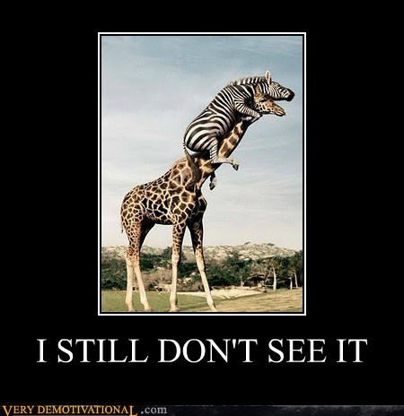 I STILL DON'T SEE IT