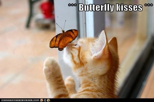 *** Butterfly kisses ***