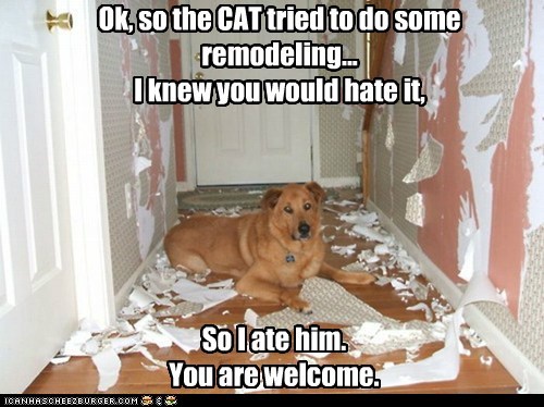Ok, so the CAT tried to do some remodeling...  I knew you would hate it,