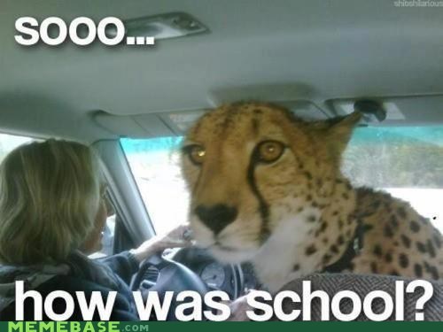 Did You Cheetah on Your Test Like I Told You?