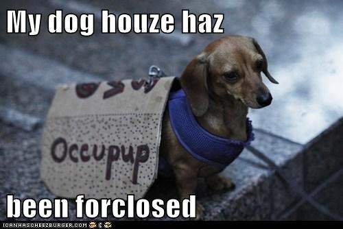 I Has a Housing Crisis