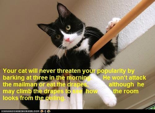 Cat Truisms - barking