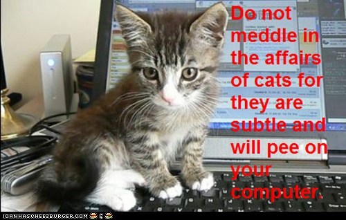 Cat Truisms - meddle