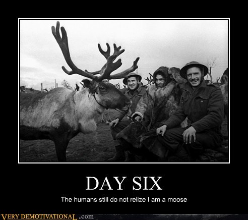 DAY SIX