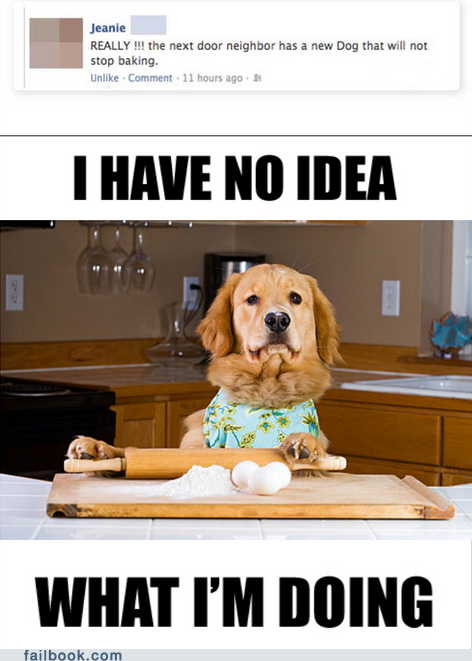Failbook: Silly Dog. You Can't Bake. You're a Dog
