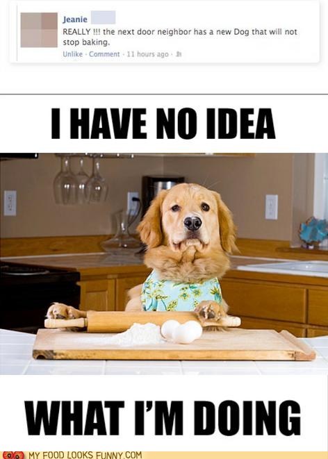 Keep it Up, Dog