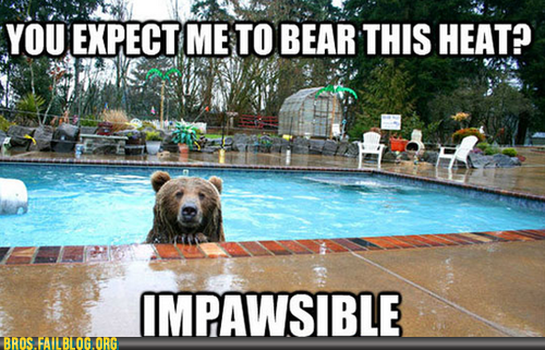 Manimals: Sizzly Bear Sizzles in the Heat