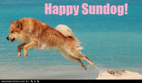 Happy Sundog! 