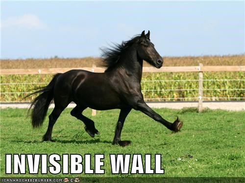 Even Horse Games Have Bad Level Design