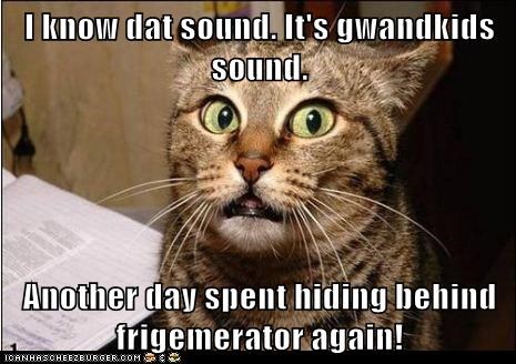 I know dat sound. 