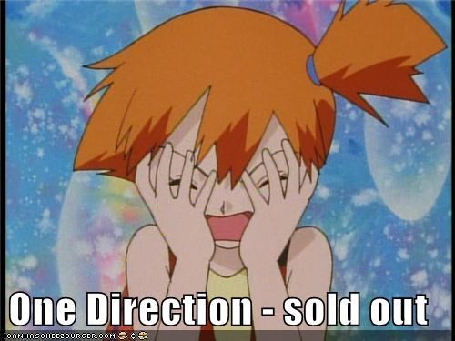 One Direction - sold out