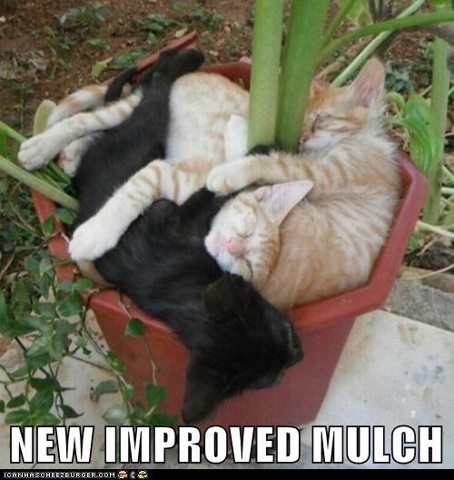 NEW IMPROVED MULCH