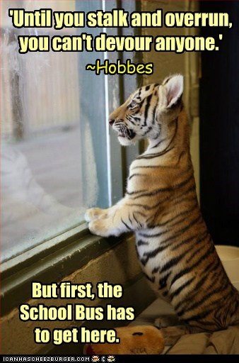 I'm HOME!! *Pounce...Augh!!...POW!!*