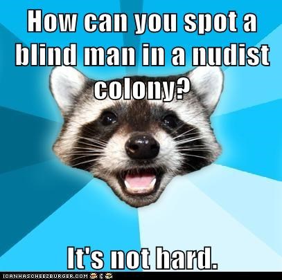 Lame Pun Coon: A Big Softy