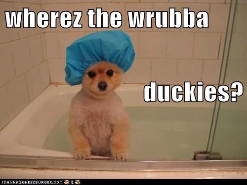 Wrubba duckies