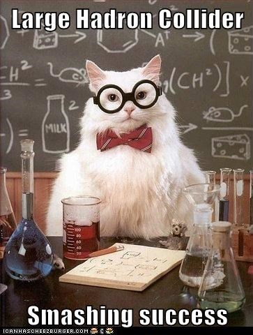 Animal Memes: Chemistry Cat - Simply Smashing