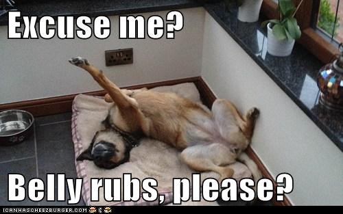 I Has A Hotdog: Belly Rubs