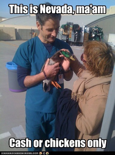 No Ducks for Checkups