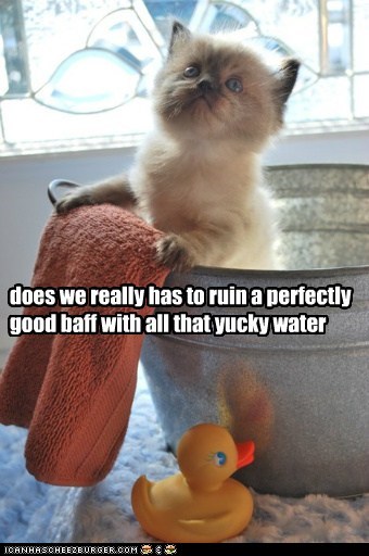 does we really has to ruin a perfectly good baff 