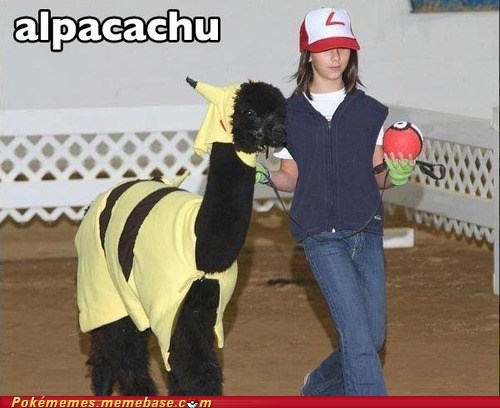 Pokémemes: Alpacachu Used Spit
