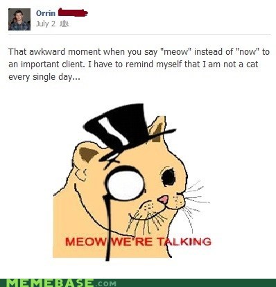 Meow This is Awkward
