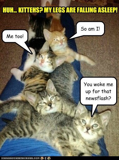 They're not selfish, they're kittehs.