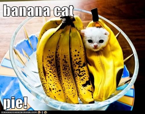 banana cat  pie!