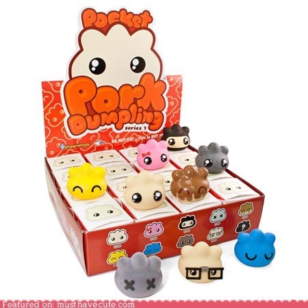 Pocket Pork Dumplings