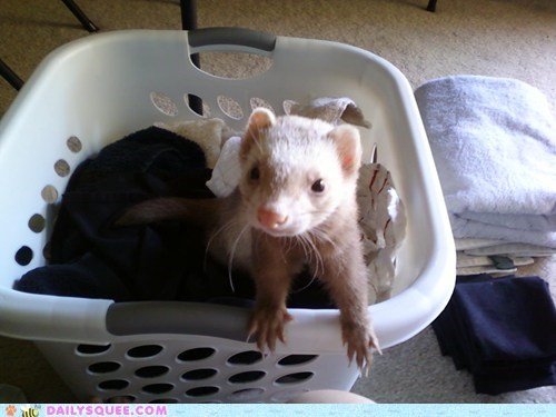 Reader Squee: My Laundry! Mine!