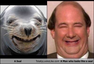 A Seal Totally Looks Like Brian Baumgartner