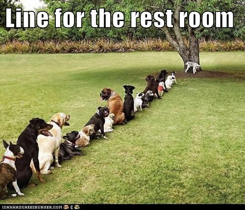 Line for the rest room
