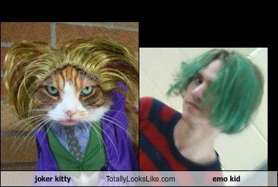 joker kitty Totally Looks Like emo kid