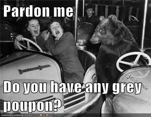 Polite Bear is Polite