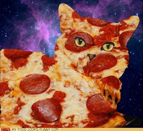 Mystical Space Pizza Cat