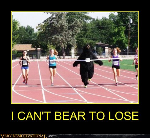 It Was a Beary Close Race
