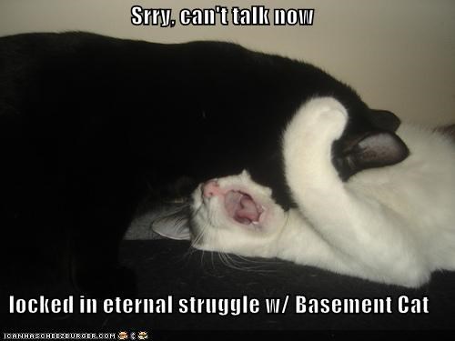 Srry, can't talk now  locked in eternal struggle w/ Basement Cat