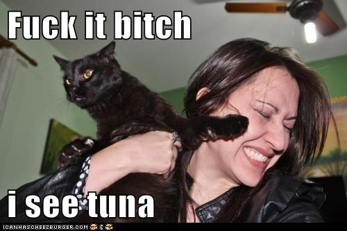 Fuck it bitch  i see tuna