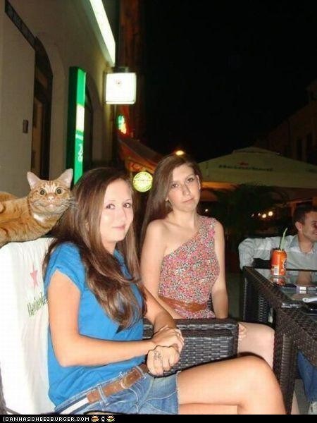 Photobomb Kitteh Sez 'Ohai!'