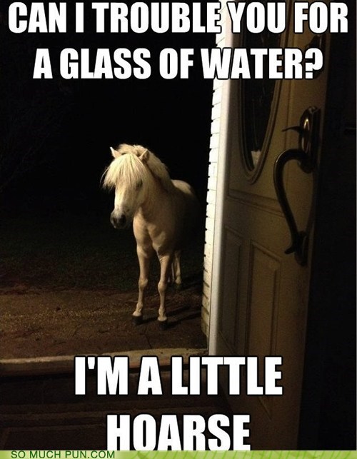 So Much Pun: Welcome to the Neigh-borhood