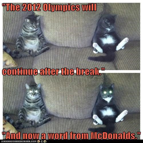 Lolcats: Cats Watch for Different Reasons