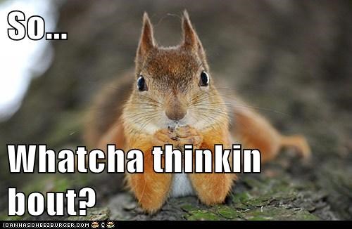 So...  Whatcha thinkin bout?