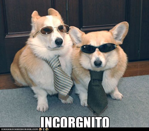 We're On a Mission... From Dog.