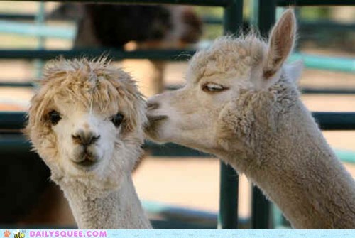 Squee Spree: Let Me Tell You a Secret 