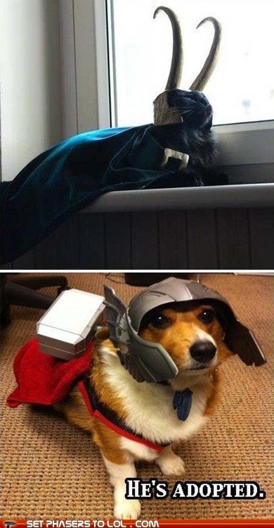 He is Of Asgard and He is My Brother